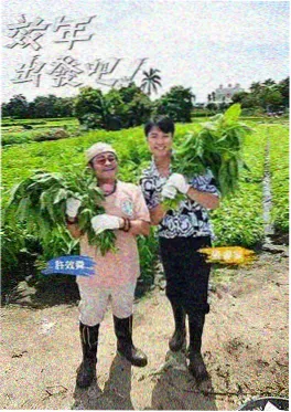 影片海报